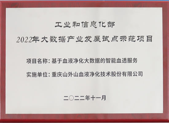 行業(yè)唯一！山外山公司入選“2022年大數(shù)據(jù)產(chǎn)業(yè)發(fā)展試點示范項目”